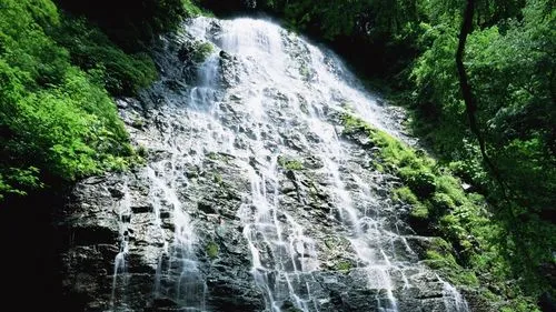 高精度高质量数字化